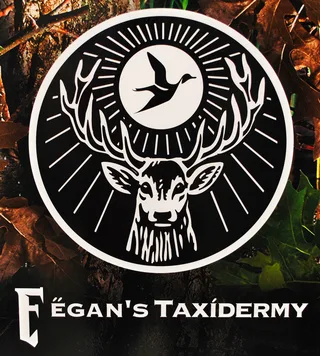 Fegan's Taxidermy